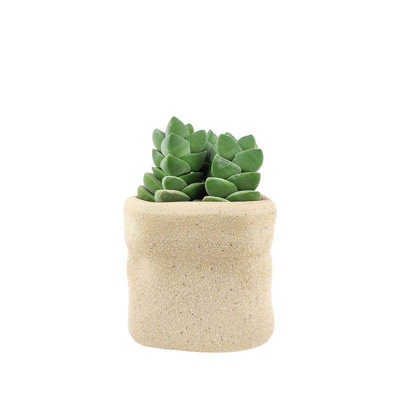 4 inch Beige Satchel Ceramic Plant Pot