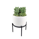 4 inch Solid White Ceramic Planter with Metal Stand