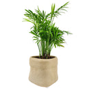 4 inch Beige Satchel Ceramic Plant Pot