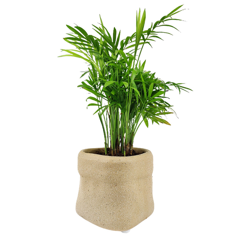 4 inch Beige Satchel Ceramic Plant Pot