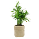 4 inch Beige Satchel Ceramic Plant Pot