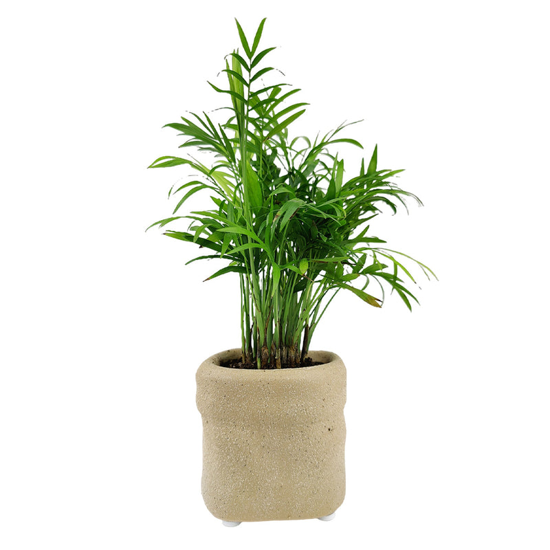 4 inch Beige Satchel Ceramic Plant Pot