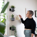 4" Plant Holder for Wall