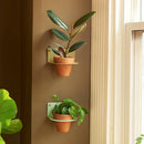 4" Plant Holder for Wall
