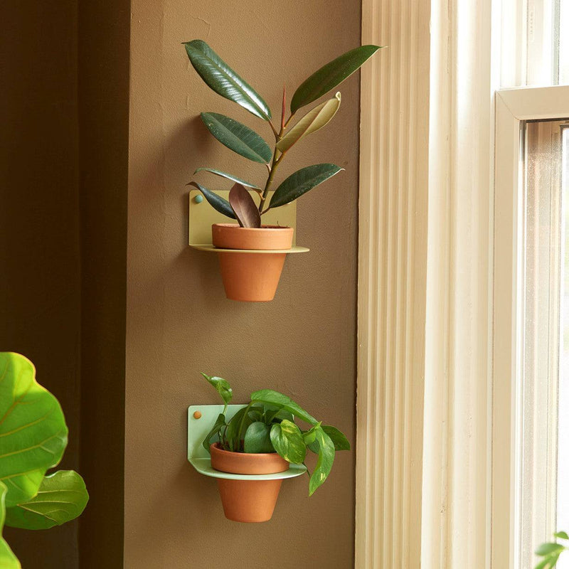 4" Plant Holder for Wall