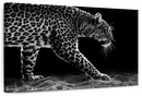 Walking Leopard Wall Art