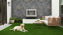 MSI Evergrass®Sage Gold