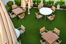 MSI Evergrass®Sage Gold