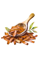 Sandalwood Phthalate-Free Fragrance Oil