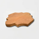Santo Natural San Felipe Terracotta Tiles 8 3/4x11 3/4