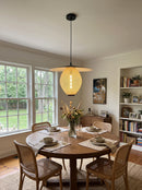 Satellite Egg Shape Pendant Lamp