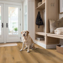 MSI NOVE SCANDI Luxury Vinyl Planks