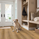 MSI Laurel™Scandi Luxury Vinyl Planks
