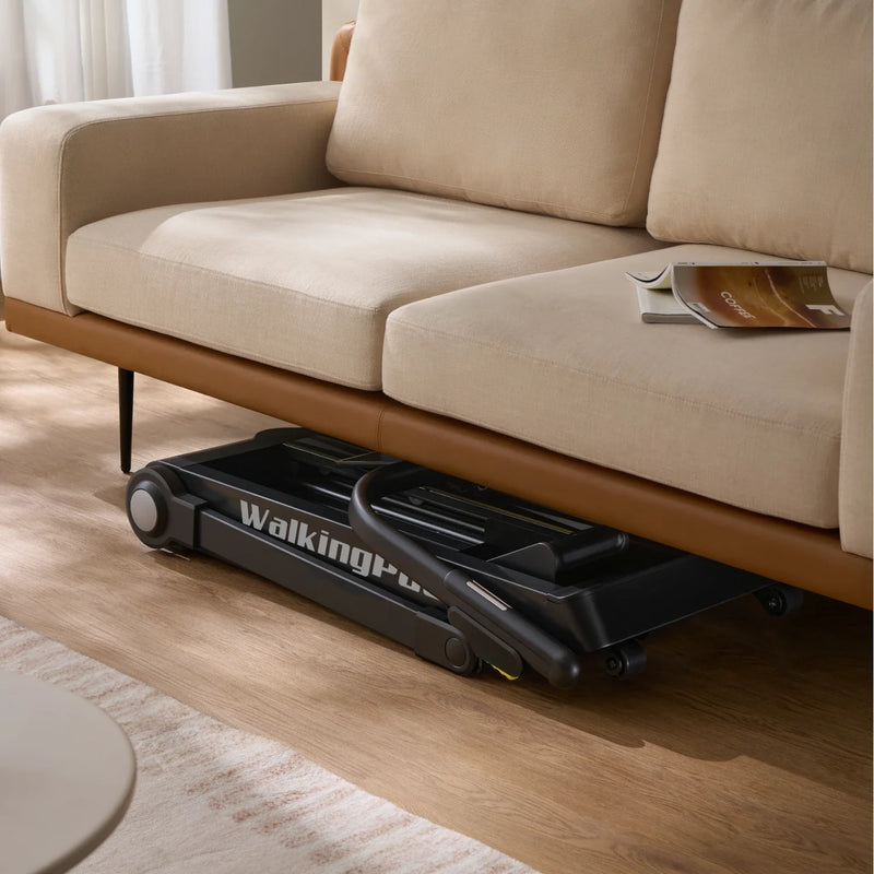 WalkingPad Stair Stepper, installed in a room