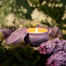 Scented Candle Tins - Aromática - 8oz by Bluecorn Candles