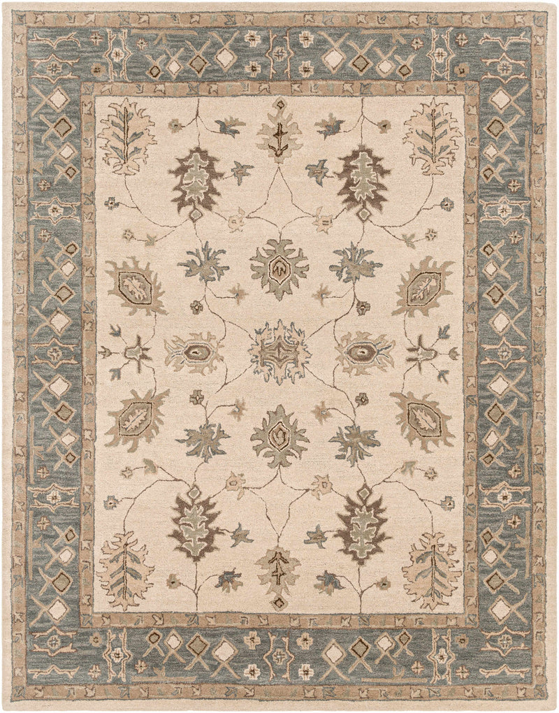 Schenevus Area Rug
