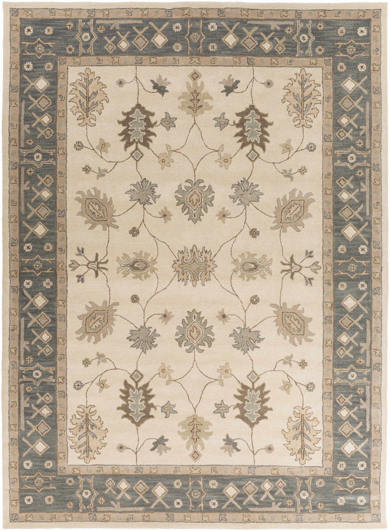 Schenevus Area Rug