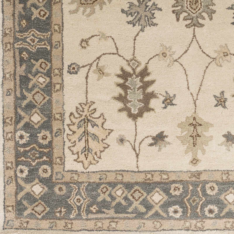 Schenevus Area Rug