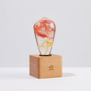 Table Lamp - Solar Corona by EP Designlab LLC