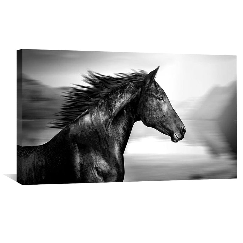 Seabiscuit Canvas