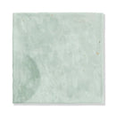 Seafare Glossy Ceramic Accent Tiles 5x5