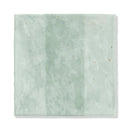 Seafare Glossy Ceramic Accent Tiles 5x5