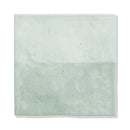 Seafare Glossy Ceramic Accent Tiles 5x5