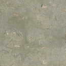 Seagrass Honed Limestone Tiles 12x12