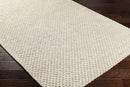 Kassa Beige Hand Woven Area Rug