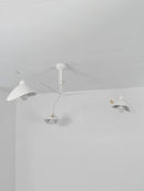 Serge Rotating Arm Ceiling light
