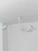 Serge Rotating Arm Ceiling light