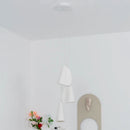 Series 21 Pendant Light Cluster