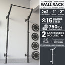 Synergee 2200 Series Wall Mounted Squat Rack