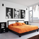 Shaded Beauty Canvas