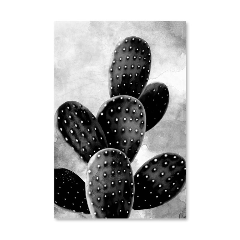 Shaded Cactus Canvas