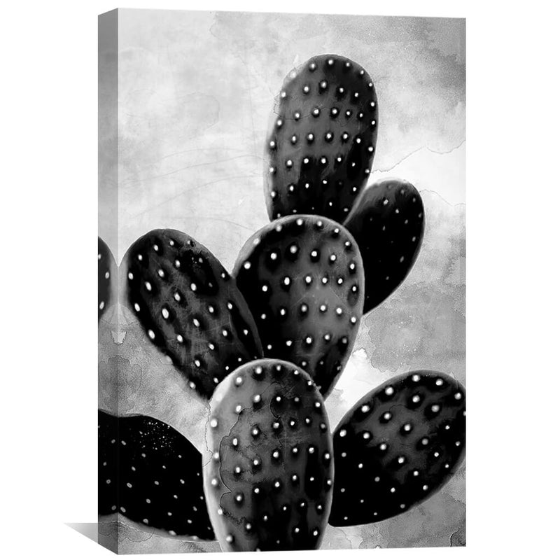 Shaded Cactus Canvas