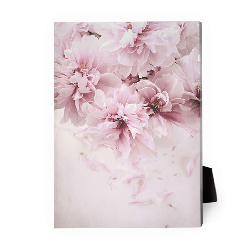 Shaded Pink Desktop Canvas