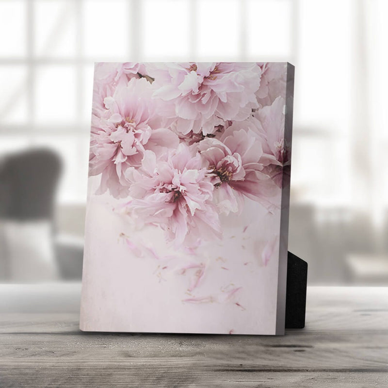 Shaded Pink Desktop Canvas