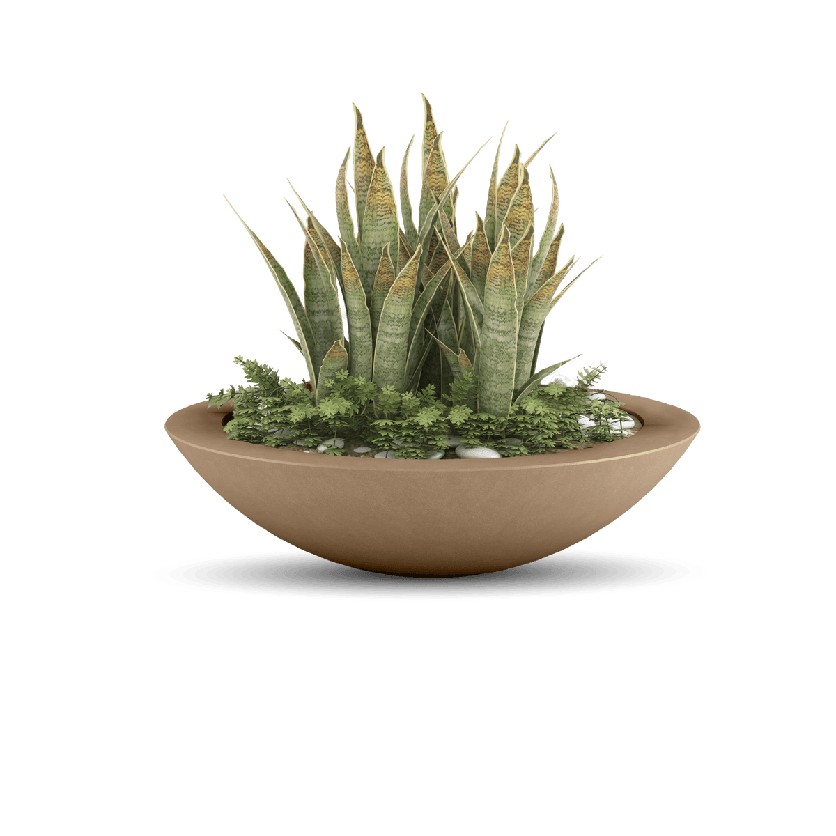 Oceanside Outdoor Shallow Planter, photo 33 of 40