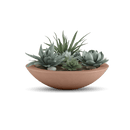 Oceanside Outdoor Shallow Planter