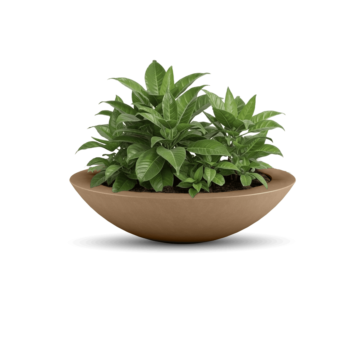 Oceanside Outdoor Shallow Planter, photo 20 of 40
