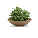 Oceanside Outdoor Shallow Planter