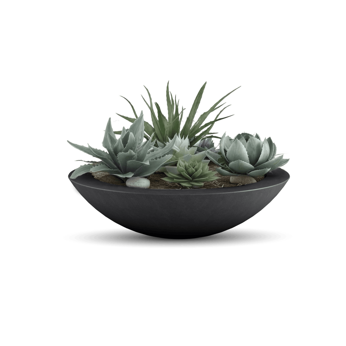 Oceanside Outdoor Shallow Planter, photo 36 of 40