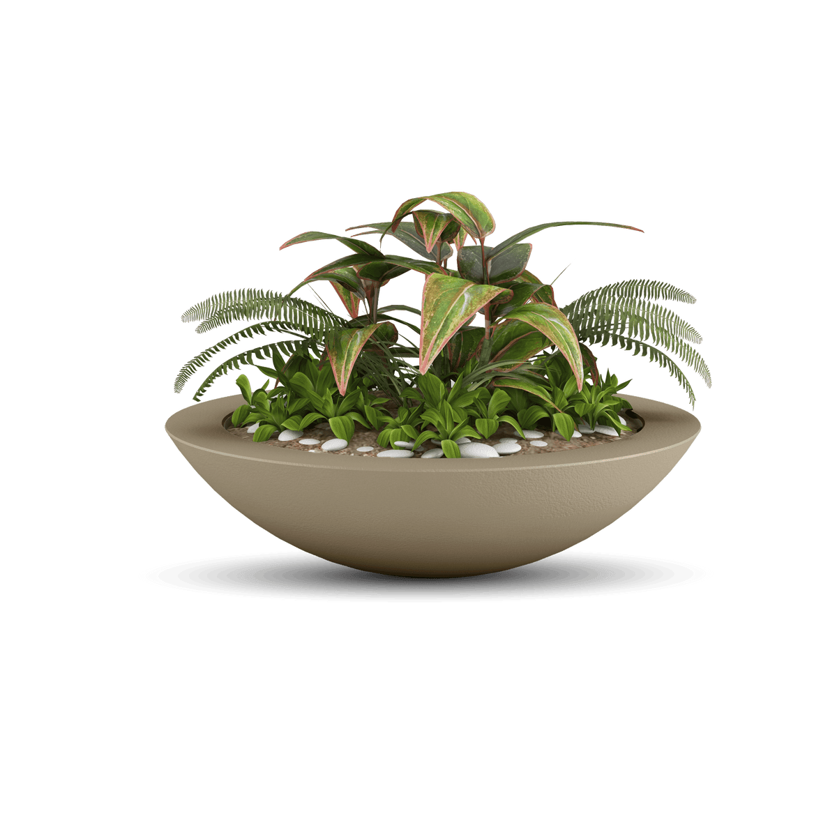 Oceanside Outdoor Shallow Planter, photo 24 of 40
