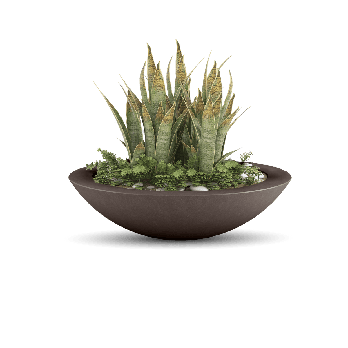Oceanside Outdoor Shallow Planter, photo 13 of 40