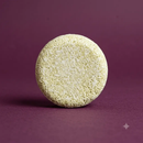 Shampoo Bar | Mint by Bamboo Switch