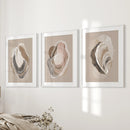 Vintage Oyster Shell Sketch. Minimalist Coastal Wall Art Set by Wall Art Set