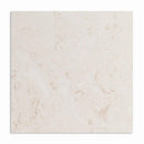 Shell Reef Tumbled Limestone Pavers 24x24