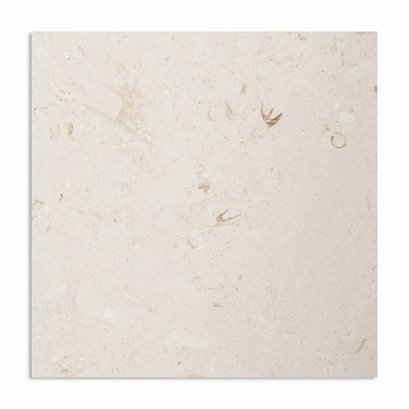 Shell Reef Tumbled Limestone Pavers 36x36, photo 2 of 4