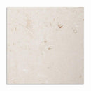 Shell Reef Tumbled Limestone Pavers 36x36